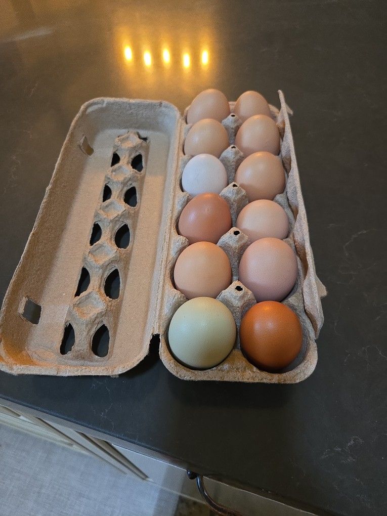 Farm Fresh Eggs