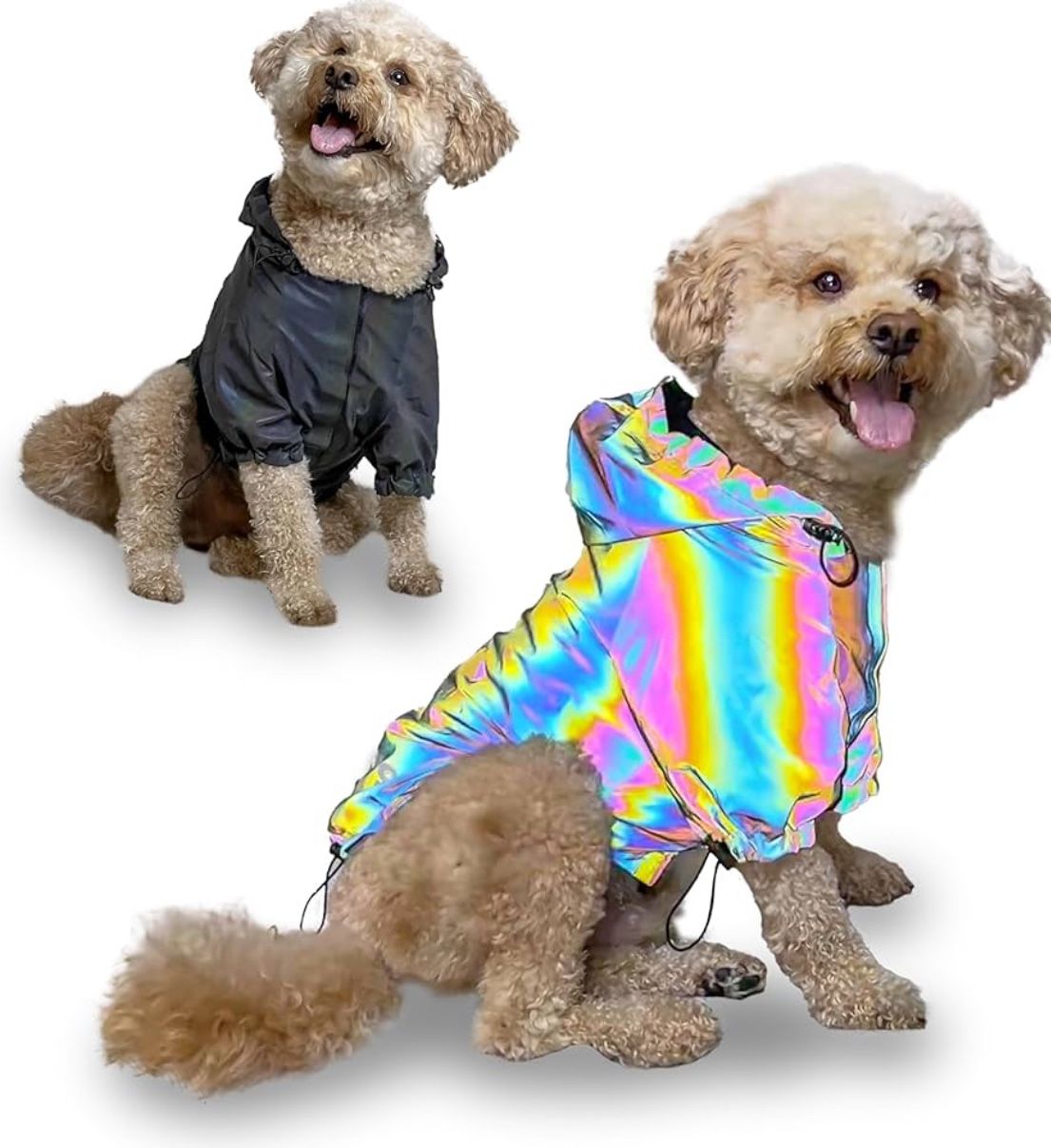 Holographic Rain Jacket for Dogs