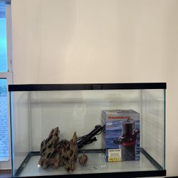 Aquarium And Stuff 