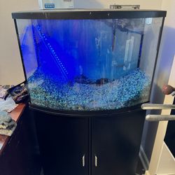 Fish tank And Stand