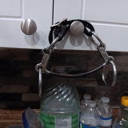 Bit For Horses Mouth