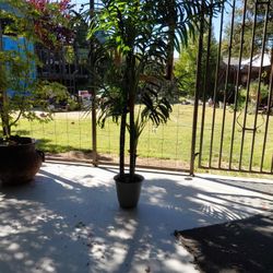 Faux Palm