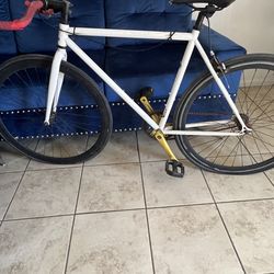 Golden Cycle Fixie 28in bike