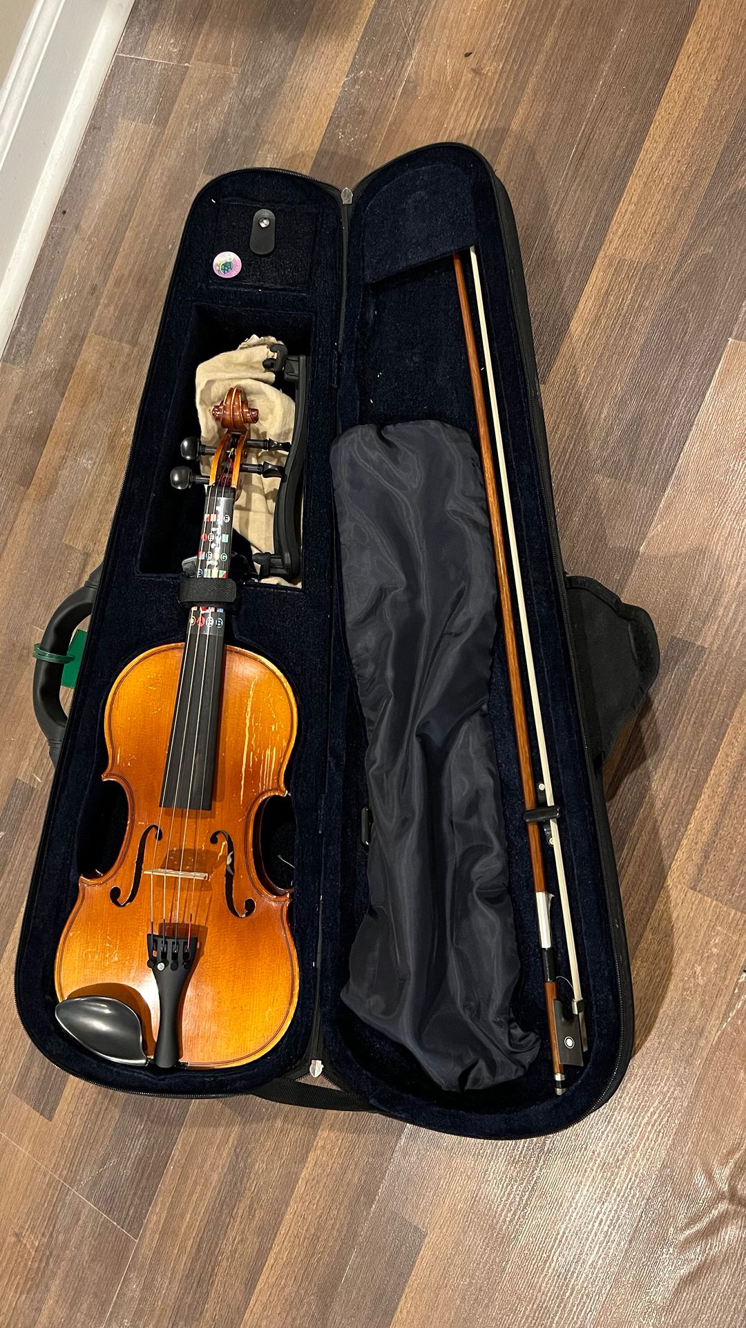Violin