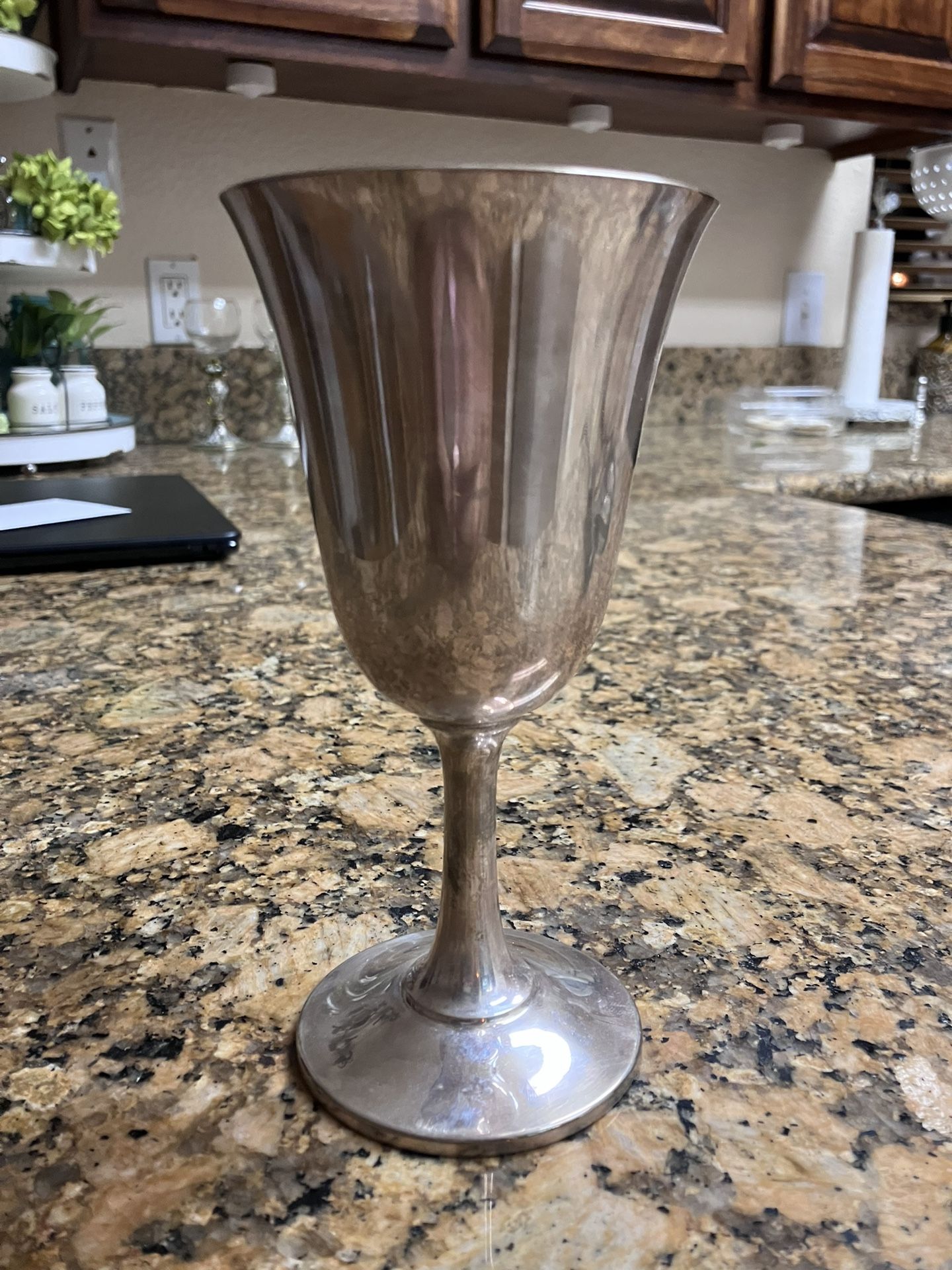 Wallace Sterling 14 Goblets (12)