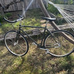 Brilliant Single Speed