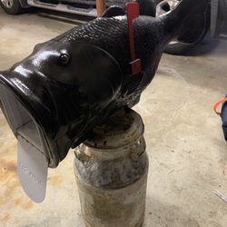 Black Bass Mailbox 