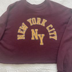 Hollister Crewneck 
