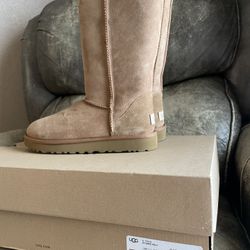 Ugg Boots Brand New!
