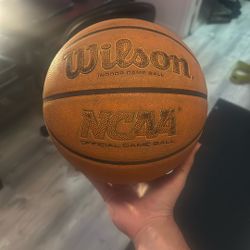 Wilson Evo