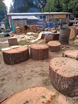 Firewood
