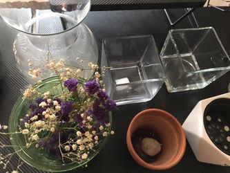 flowers vase bottles