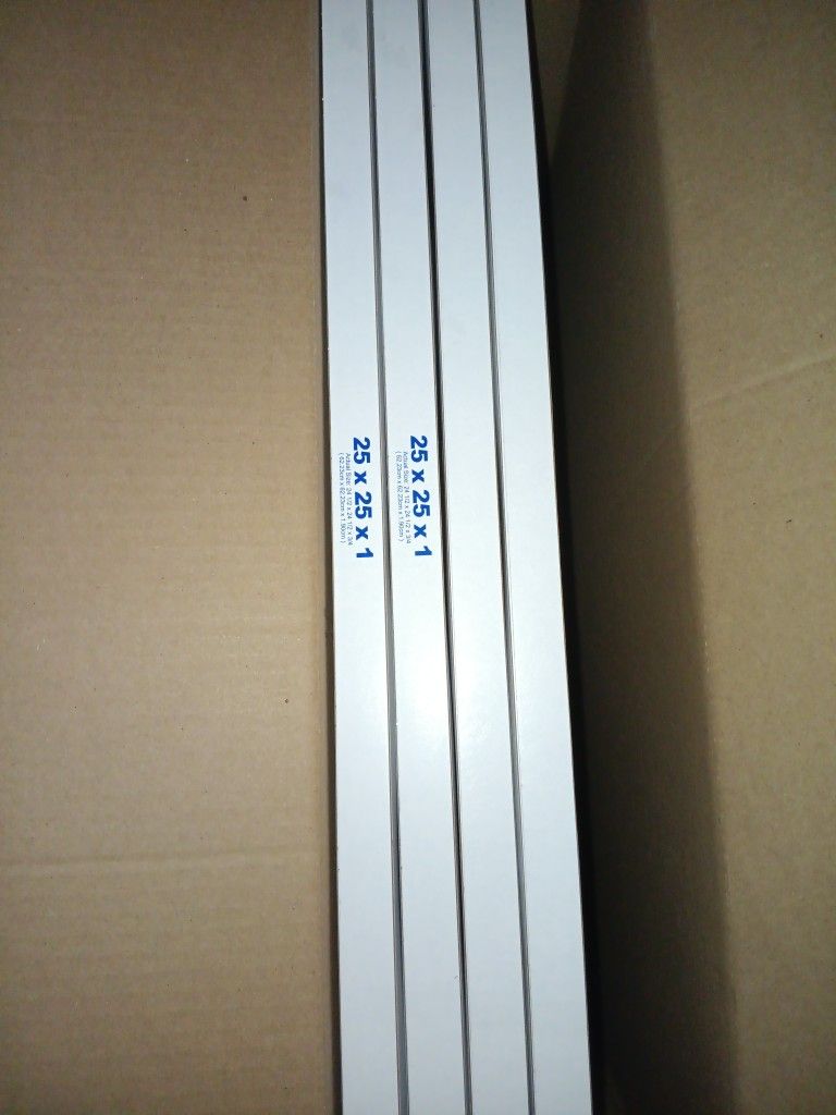 25x25x1 " Hypoallergenic Filters 15$