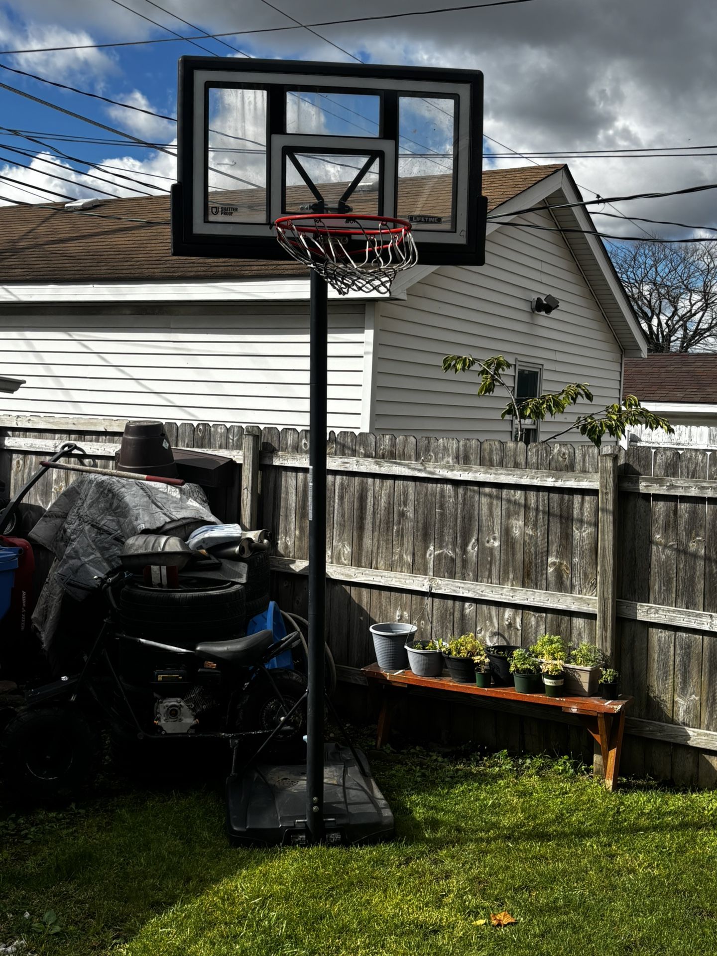 Basketball Hoop Lifetime Shatter Proof
