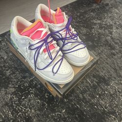 Off white dunks lot 15