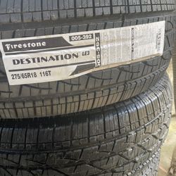 Tier