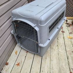 Pet Barn  Dog  House 