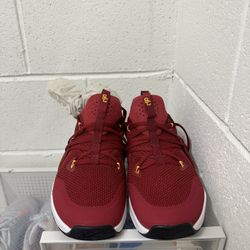 Nike Shoes x USC Trojans