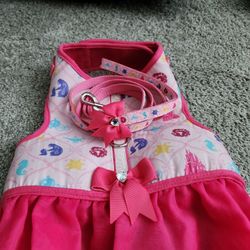 Disney Princess Dog Harness And Leash Set
