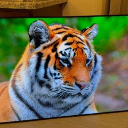 Samsung QLED 65 inch Q80 High End Smart TV 