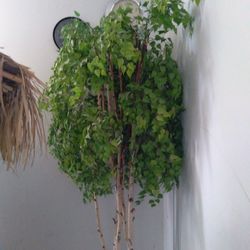 Artificial Tree 8 Feet