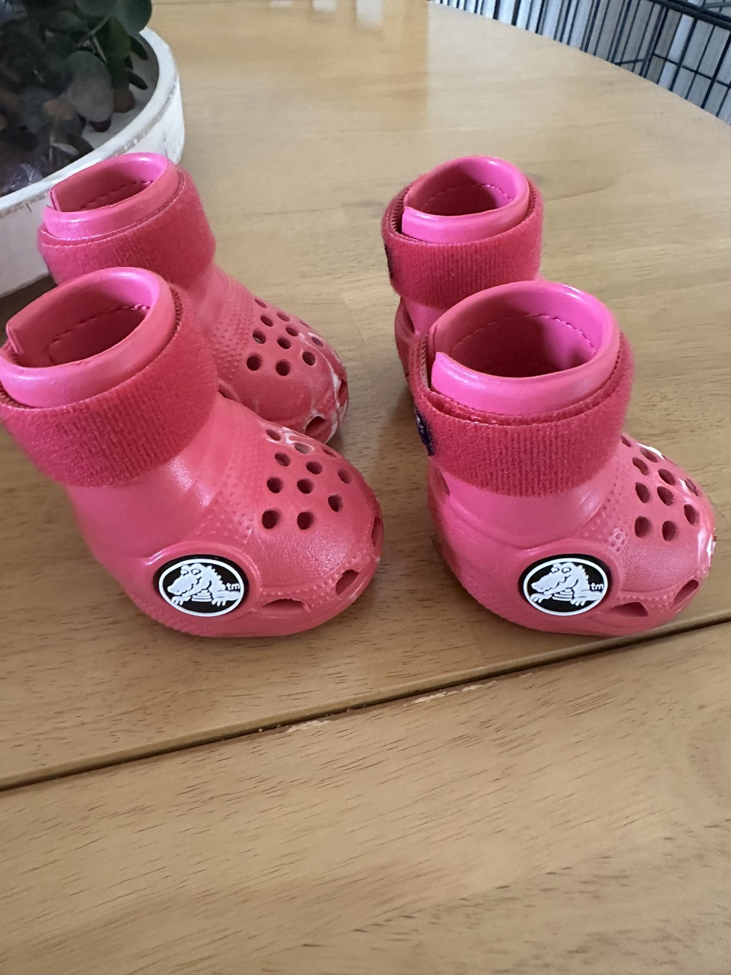 Dog Crocs