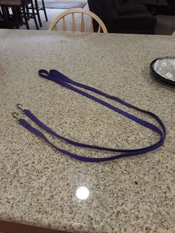 2 dog leashes