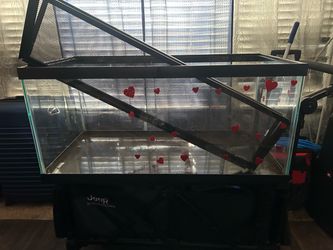 40 gallon tank