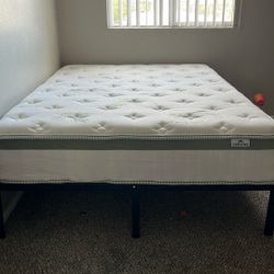 Bedframe and mattresses