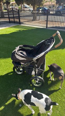 Black Jogging Stroller with Large Wheels