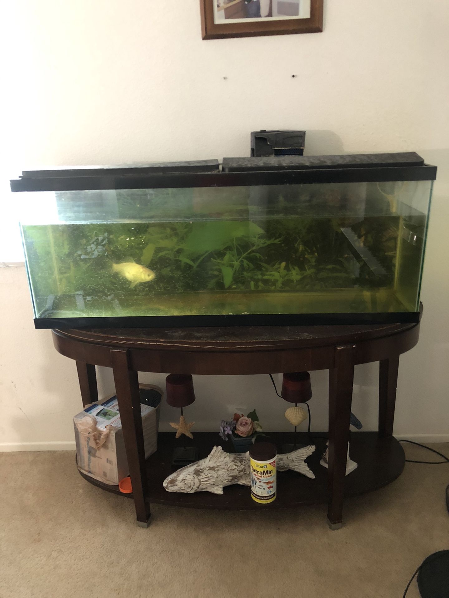 Free Fish Tank with one Fish in Palmdale CA 93552