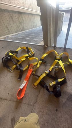 Guardian fall protection