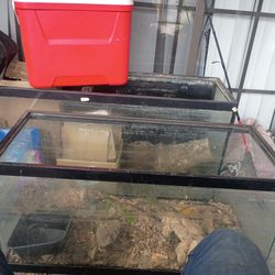 Fish/reptile tank