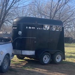 Traila Para 2 Caballos 