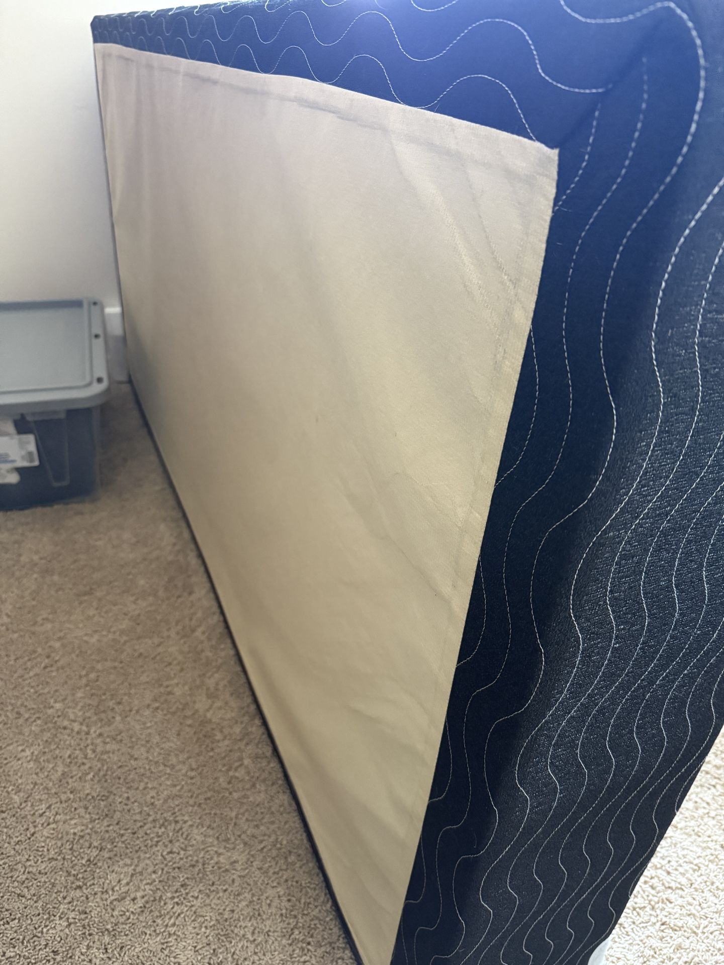 Twin Box Spring FREE