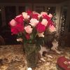 Catie 