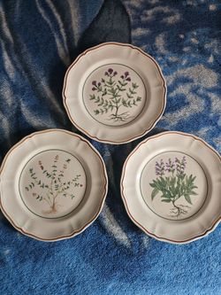 Longchamp France Herbs Plates