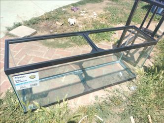 55 Gallon Fish Tank