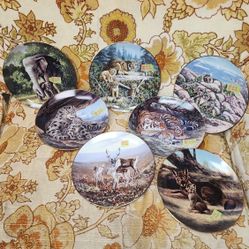 VINTAGE..Decorative Dinner Plates.