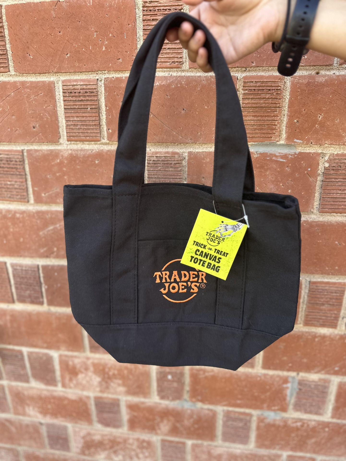 Trader Joe’s Canvas Mini Tote 