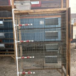 Quail/Pigeon Cages