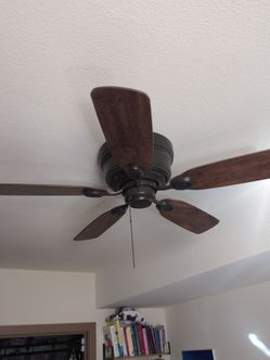 Hunter 5-Blade Flush Mount Ceiling Fan