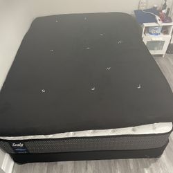 Futon Mattress For $20