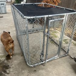 Dog Kennel Large 