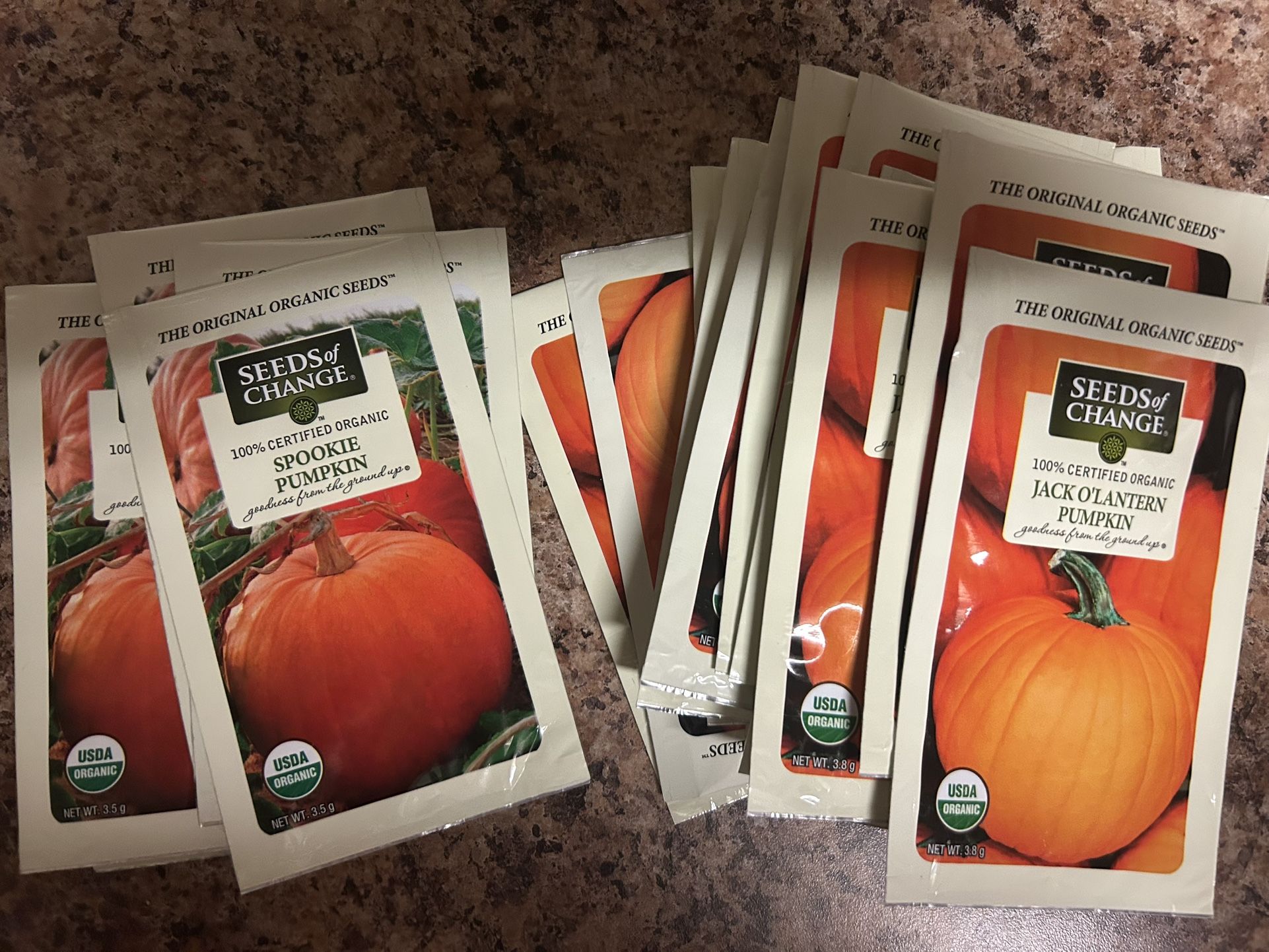 Pumpkin Seed Packs For Planting