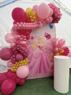 Princess Aurora Birthday Decoration 