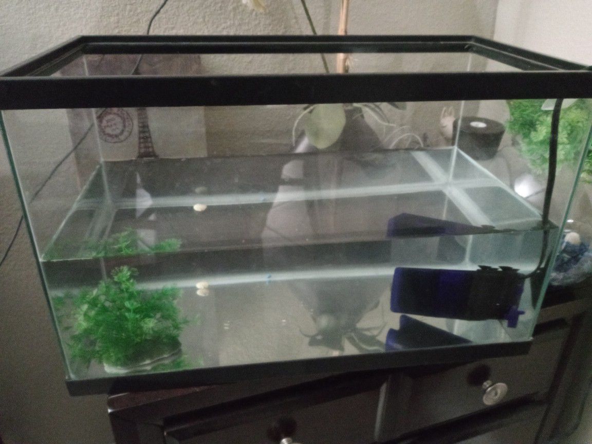 Fish Tank 🐟