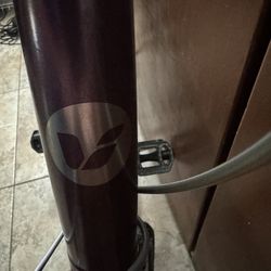 Women’s Giant 21 Speed Bike (LIV)