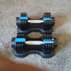 LifePro PowerFlex Plus Adjustable Bumbell