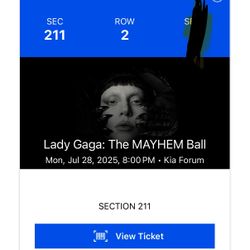 Lady Gaga Opening Night 